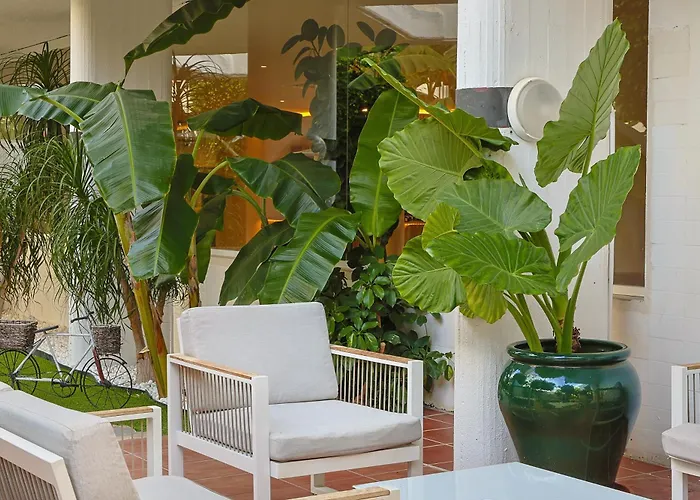 Hotel Aluasun Rojo (adults Only) 4*