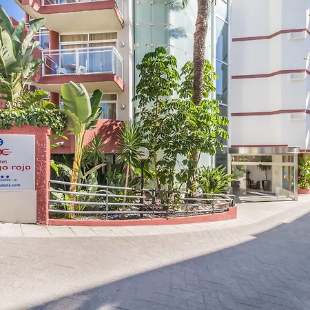 Aluasun Rojo (adults Only) Отель 4*